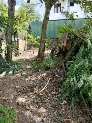 super land for sale in palawatte Ds8545