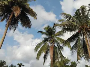 Land for Sale in Malabe DS1015