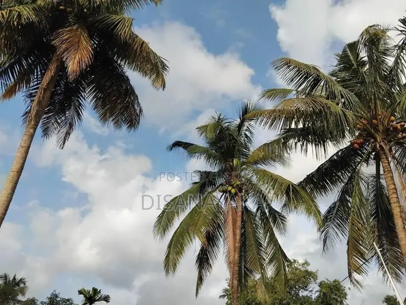Land for Sale in Malabe DS1015