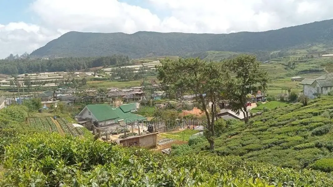 Land for Sale Nuwara Eliya