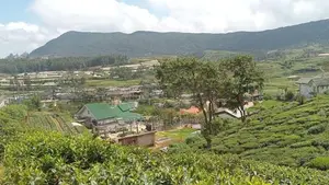 Land for Sale Nuwara Eliya