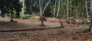 Kurunegala 112 perches Land for Sale Udubaddawa