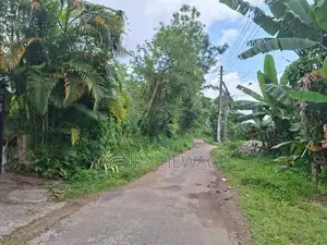 පිටිපන නගරයේ පිහිටි ඉඩමක් විකිණීමට ඇත. (ID : PTPN001S)