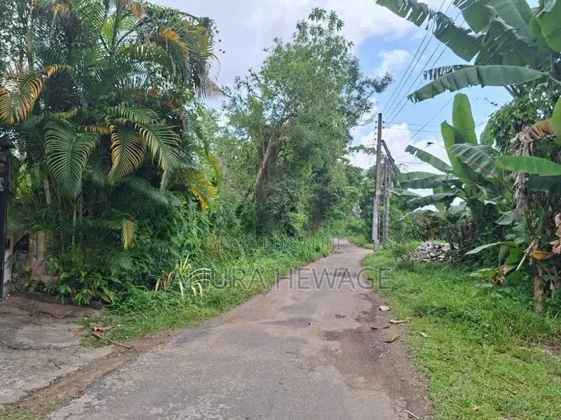 පිටිපන නගරයේ පිහිටි ඉඩමක් විකිණීමට ඇත. (ID : PTPN001S)