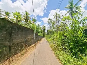 පිටිපන නගරයේ පිහිටි ඉඩමක් විකිණීමට ඇත. (ID : PTPN001S)