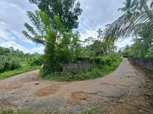 පිටිපන නගරයේ පිහිටි ඉඩමක් විකිණීමට ඇත. (ID : PTPN001S)