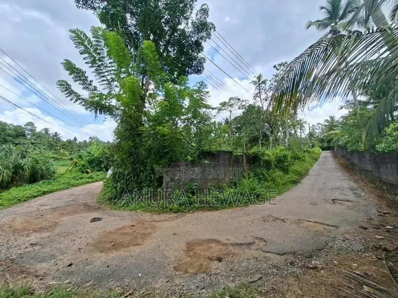 පිටිපන නගරයේ පිහිටි ඉඩමක් විකිණීමට ඇත. (ID : PTPN001S)