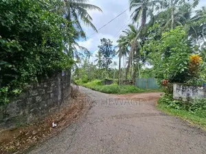 පිටිපන නගරයේ පිහිටි ඉඩමක් විකිණීමට ඇත. (ID : PTPN001S)