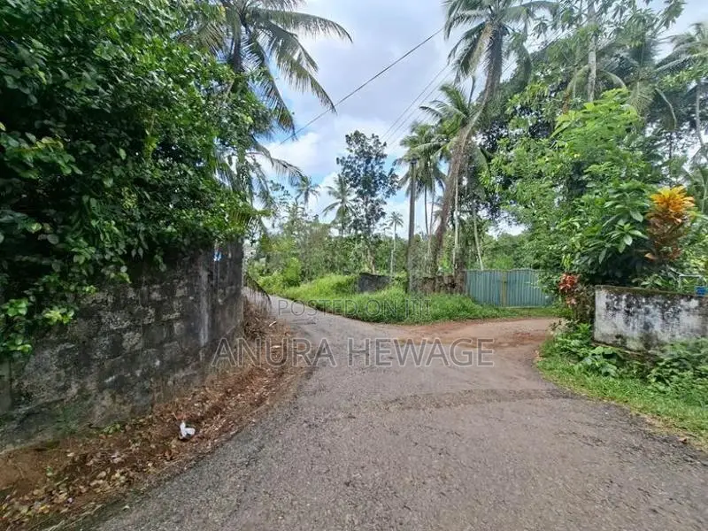 පිටිපන නගරයේ පිහිටි ඉඩමක් විකිණීමට ඇත. (ID : PTPN001S)