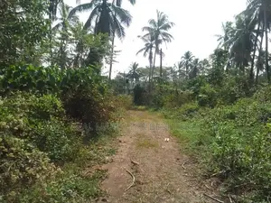 Kurunegala - 7BR House, 100 cube Crusher, 4 Acres Land for Rent