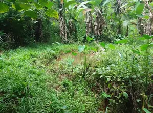 Ella : 70 perches Land with Hotel for Sale at Ballaketuwa road