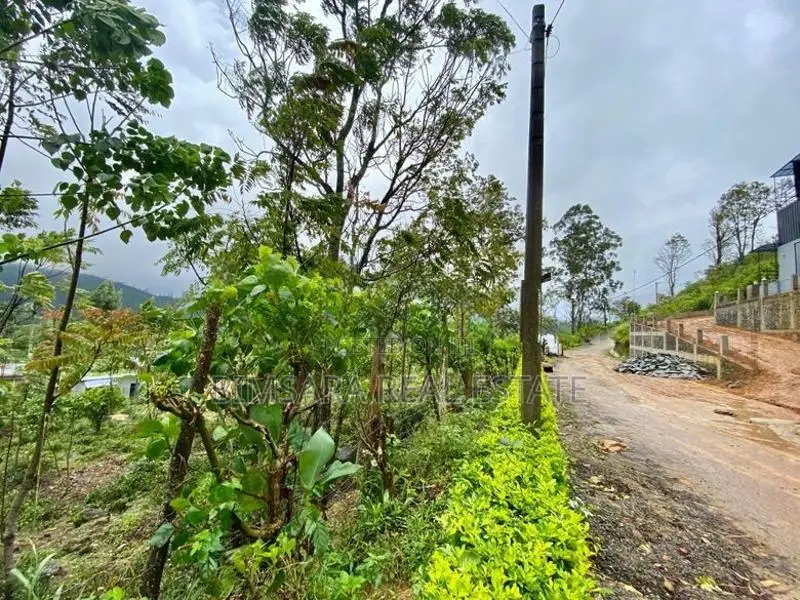 Leisure / Commercial Land in Oddington, Lindula (SL 14694)