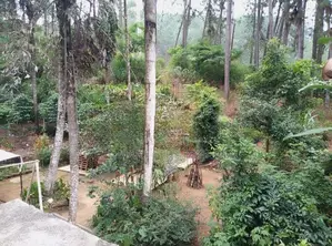 Ella : 70 perches Land with Hotel for Sale at Ballaketuwa road