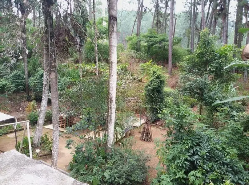 Ella : 70 perches Land with Hotel for Sale at Ballaketuwa road