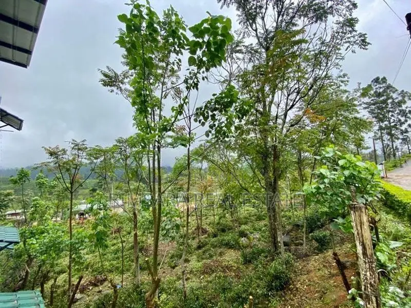 Leisure / Commercial Land in Oddington, Lindula (SL 14657)