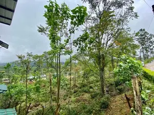Leisure / Commercial Land in Oddington, Lindula (SL 14694)