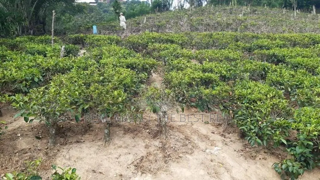 Ella : 112 perches Hotel Land for Sale facing Asapuwa Road