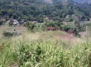 Ella : 1.5 acres Land for Sale at Ballaketuwa road