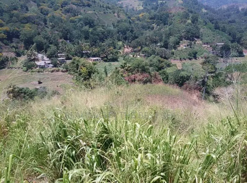 Ella : 1.5 acres Land for Sale at Ballaketuwa road