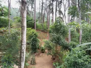 Ella : 70 perches Land with Hotel for Sale at Ballaketuwa road