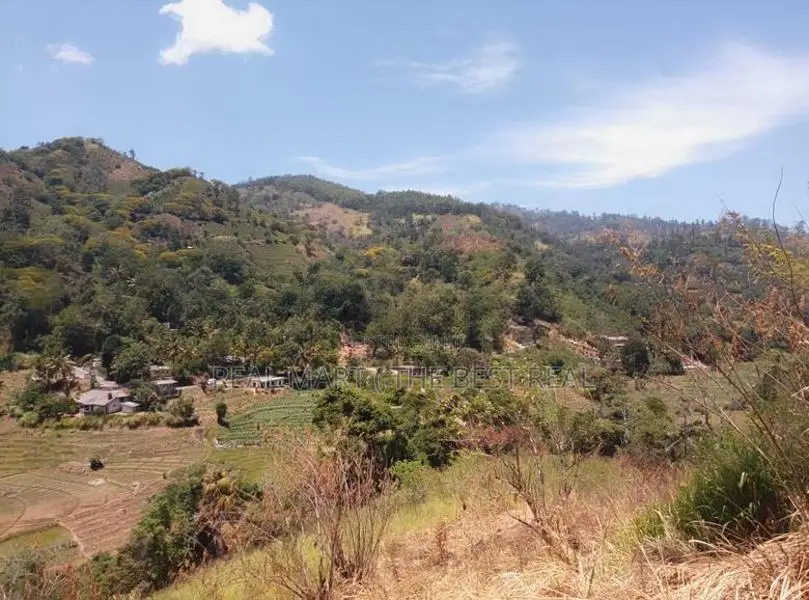 Ella : 1.5 acres Land for Sale at Ballaketuwa road