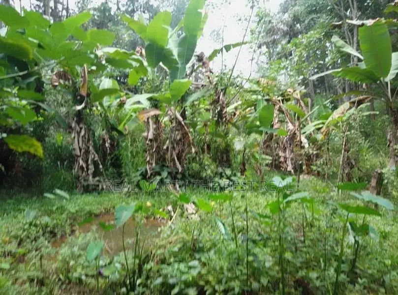 Ella : 70 perches Land with Hotel for Sale at Ballaketuwa road