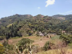 Ella : 1.5 acres Land for Sale at Ballaketuwa road