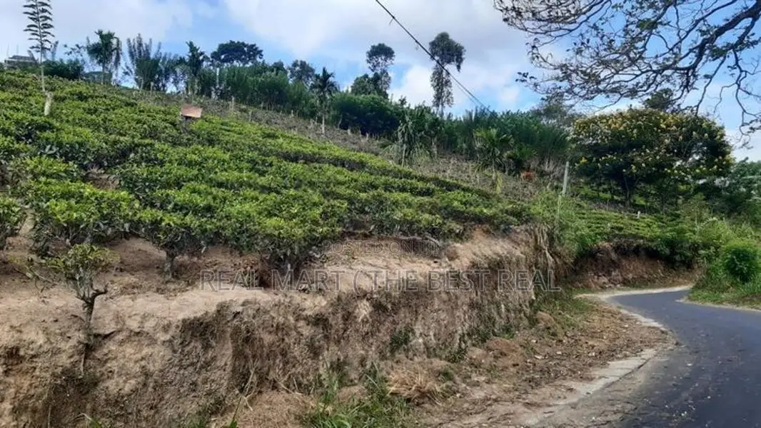 Ella : 112 perches Hotel Land for Sale facing Asapuwa Road