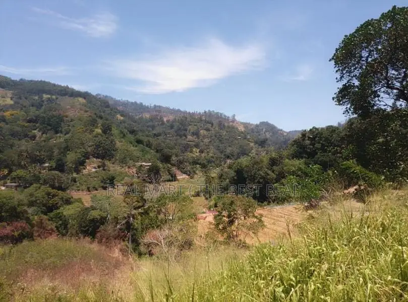 Ella : 1.5 acres Land for Sale at Ballaketuwa road