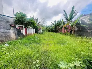 (AFA466) 19 P Land Sale At Pathiragoda Road Maharagama