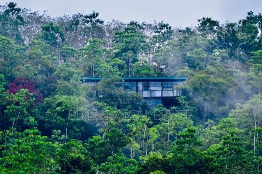 Private Rainforest Villa Estate – A Rarity in Sri Lanka (Kaluthara)