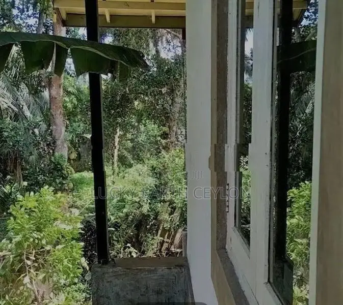 Sale Piliyandala Large House for Land Value Only (ZMS3013)