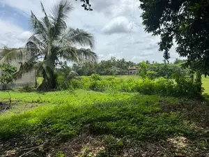Super Land for Sale Thalahena Ds1225