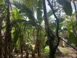 Super Land for Sale Thalahena Ds1230