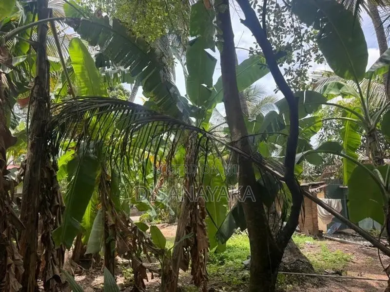 Super Land for Sale Thalahena Ds1230
