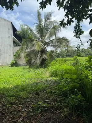 Super Land for Sale Thalahena Ds1225