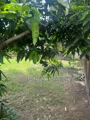 Super Land for Sale in Thalahena DS1320