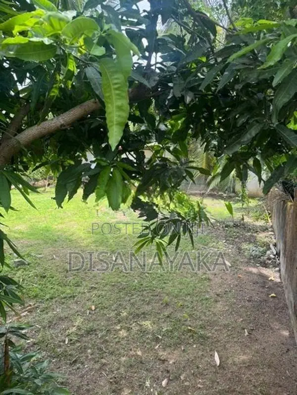Super Land for Sale in Thalahena DS1320