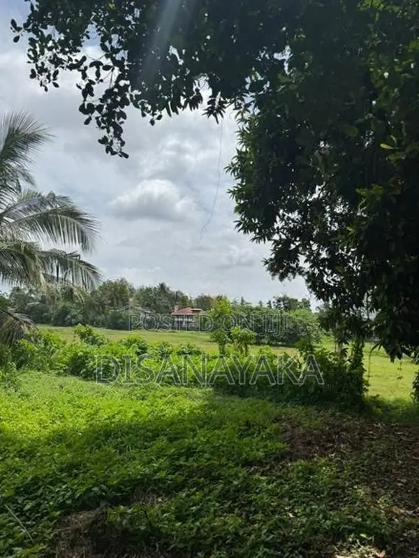 Super Land for Sale Thalahena Ds1225