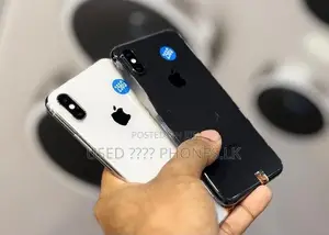 Apple iPhone X 256GB (Used)