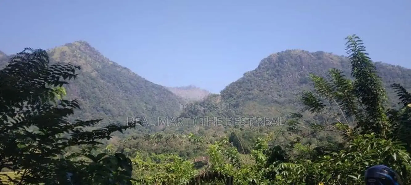 ඇල්ල : රන්දෙණියේ අක්කර 05ක ඉඩම විකිණීමට තිබේ