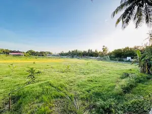 Land For Sale In Thirunelvely