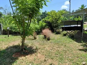 Prime 10.5 -Perch Land for Sale In Thalawathugoda | SL14701