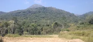 ඇල්ල : රන්දෙණියේ අක්කර 05ක ඉඩම විකිණීමට තිබේ