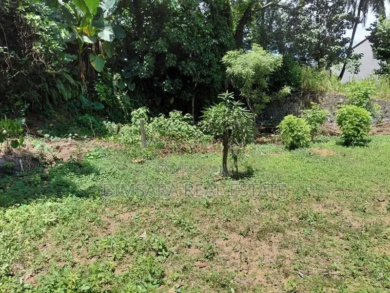 Prime 10.5 -Perch Land for Sale In Thalawathugoda | SL14701