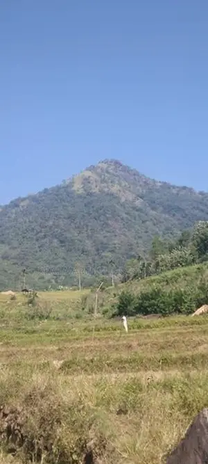ඇල්ල : රන්දෙණියේ අක්කර 05ක ඉඩම විකිණීමට තිබේ