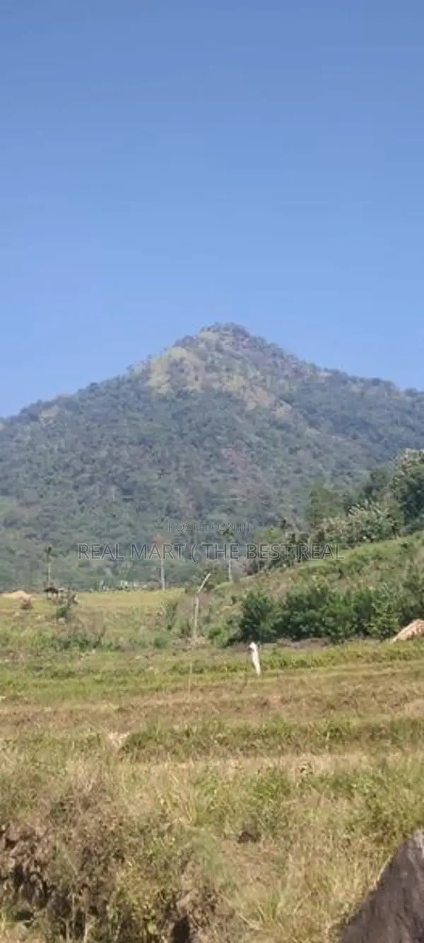 ඇල්ල : රන්දෙණියේ අක්කර 05ක ඉඩම විකිණීමට තිබේ