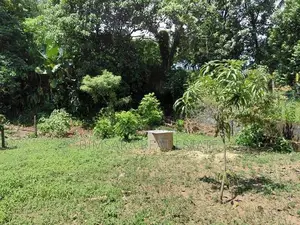 Prime 10.5 -Perch Land for Sale In Thalawathugoda | SL14701