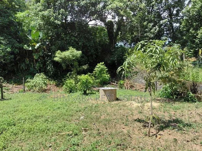 Prime 10.5 -Perch Land for Sale In Thalawathugoda | SL 14702