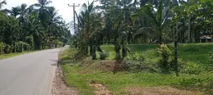 Commercial Land For Sale in Horana